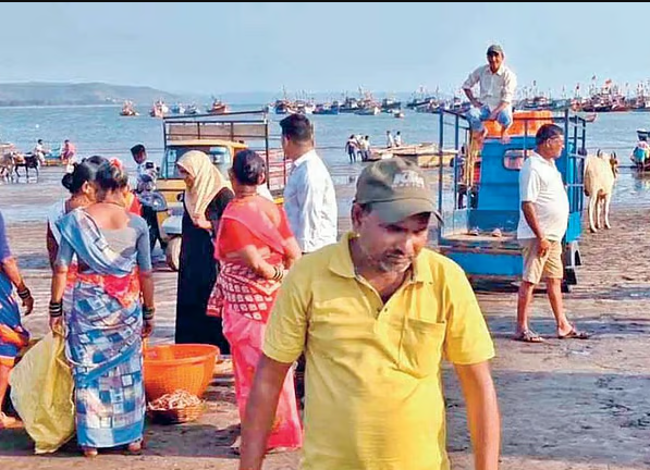 Dapoli Fishing Industry Crisis: हर्णे बंदरात डिझेलचा ‘दुष्काळ’! मासेमारी ठप्प झाल्याने शेकडो नौका किनाऱ्यावर